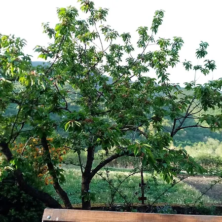 Casa vacanze Honey House Tjentiste Foca