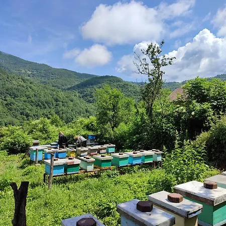 Honey House Tjentiste Foca