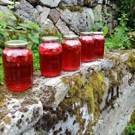 Honey House Tjentiste Casa vacanze Foca